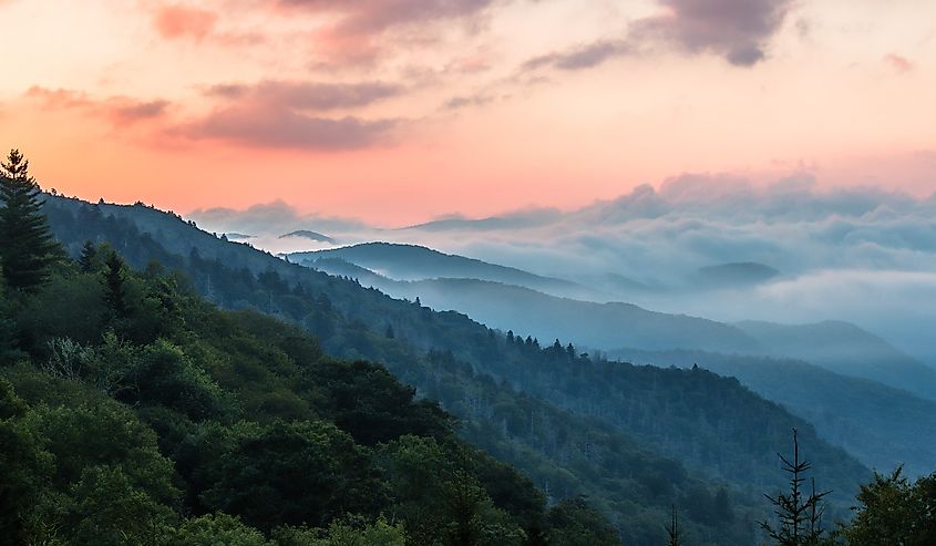 Morning at Great Smoky Mountains National Park with mountains and fog