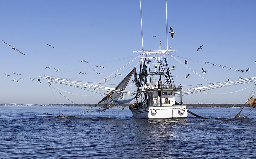 A shrimping boat off the coast of Biloxi, Mississippi.