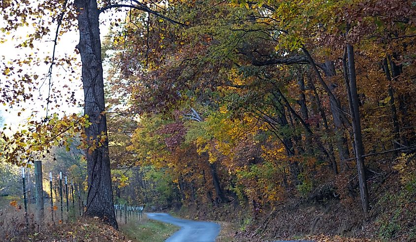 Henlsey Hollow Road in Dandridge, Tennessee in the fall
