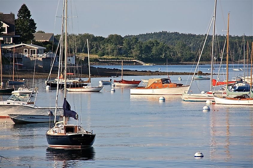 Sailboats moored in the calm waters of Castine Harbor, Maine, with a forested coastline in the background