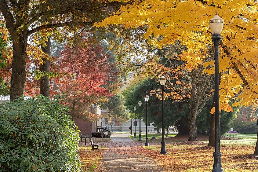 A beautiful fall day scenery at the OSU Campusi n Corvallis, Oregon. 