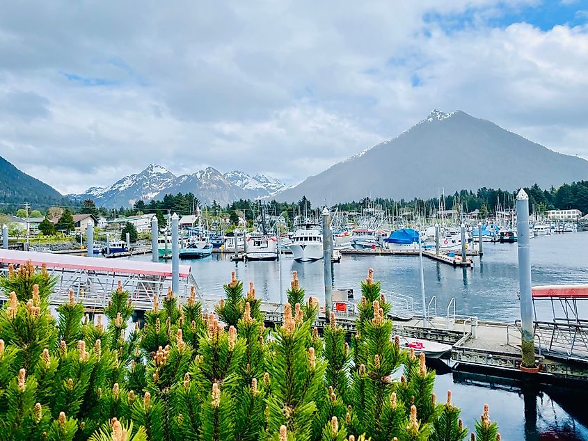 The beautiful marina in Sitka, Alaska