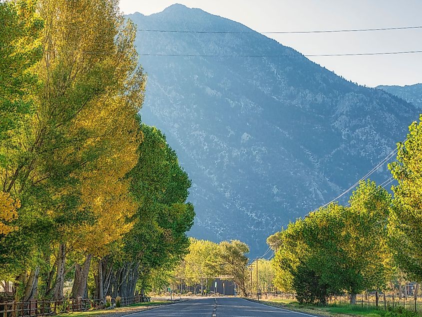 A beautiful shot of a road through a lush park near mountains in Gardnerville, Nevada.