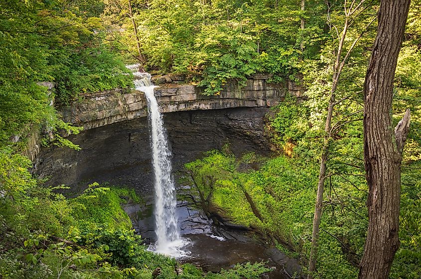 Carpenter Falls, Skaneateles, New York