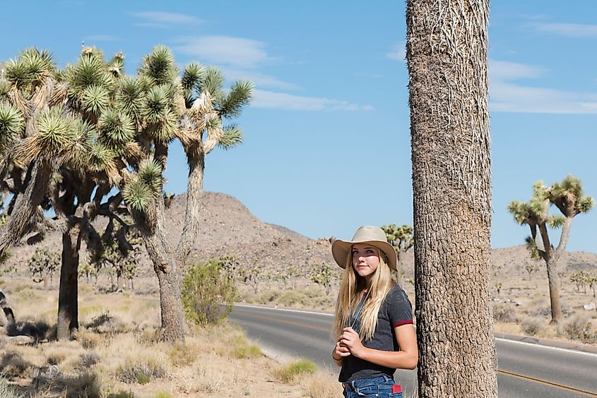 Exploring Joshua trees along Park Boulevard