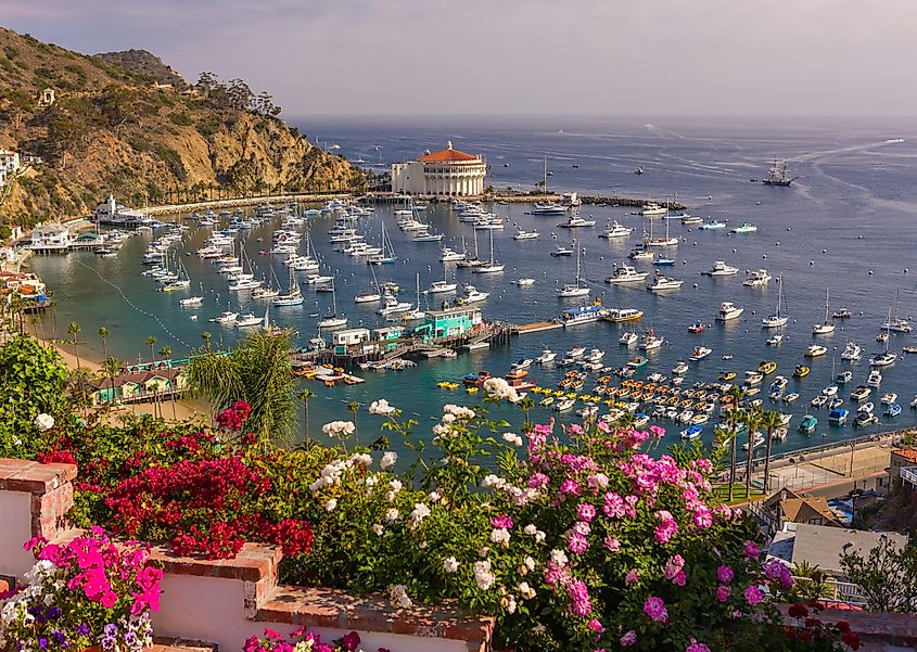 Flowers, harbor and Casino in town of Avalon, Santa Catalina Island. Editorial credit: Rob Crandall / Shutterstock.com