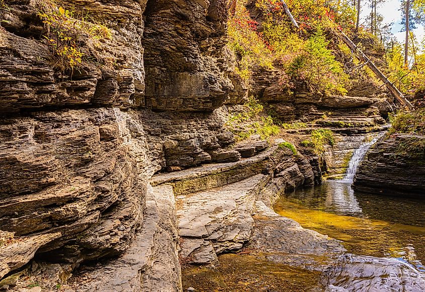 A creek in Spearfish Canyon, South Dakota.