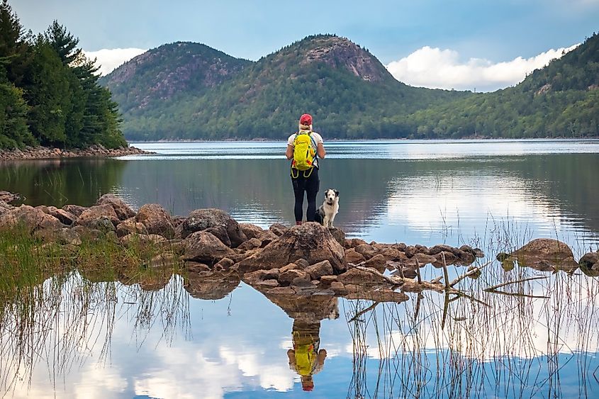 Female hiker and dog at Jordan Pond and The Bubbles, Acadia National Park, Maine.