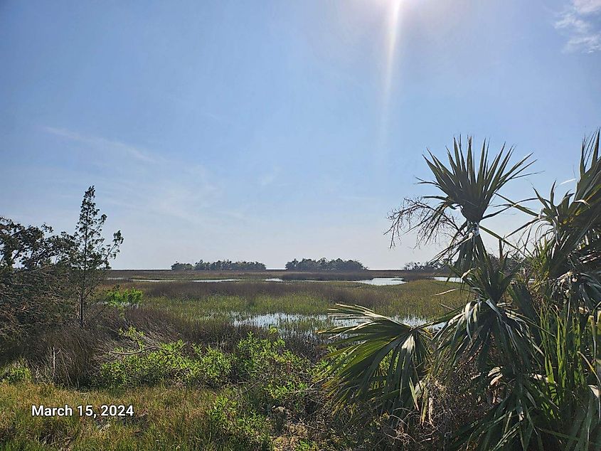 Lower Suwannee National Wildlife Refuge.