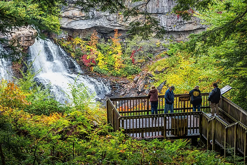 Blackwater Falls State Park near Davis