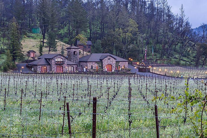 A scenic vineyard in the town of Calistoga.