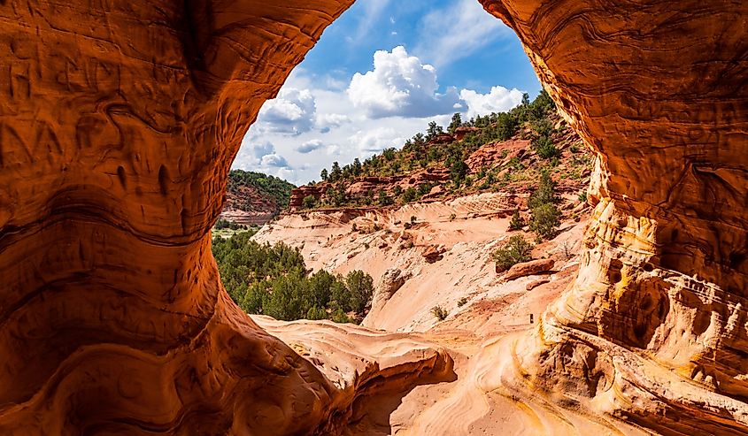 A view from the inside of Moqui Cave, Kanab, Utah.