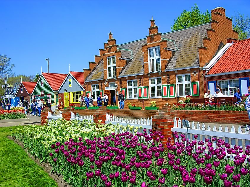 Tulip Time Festival celebrations in Holland, Michigan.