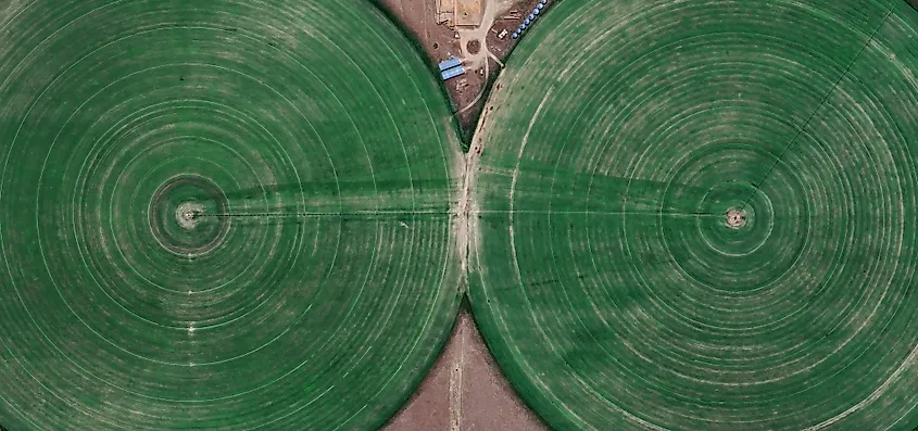 Satellite view of center-pivot irrigation circles on the High Plains