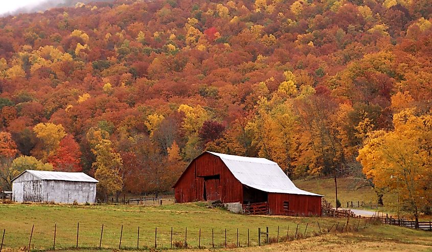 Fall in Southeast Tennessee , farm scene near Dunlap.