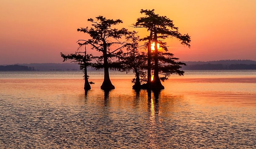 Scenic sunrise of Reelfoot Lake in Tennessee