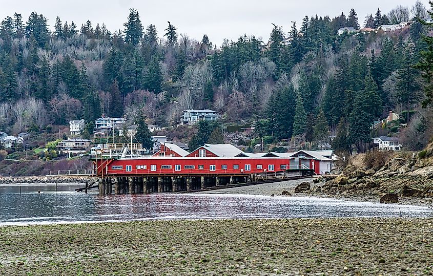 A view of the shoreline of Lynnwood, Washington at low tide.