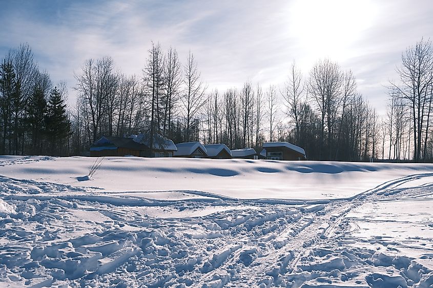 A winter day in Talkeetna, Alaska.