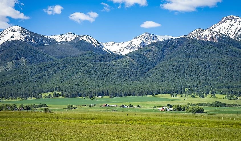 Overlooking a field with the Wallowa Mountains in Oregon.