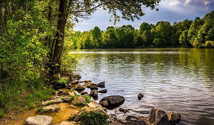 Rocks and trees along the shore of Centennial Lake in Centennial Park, in Columbia, Maryland.