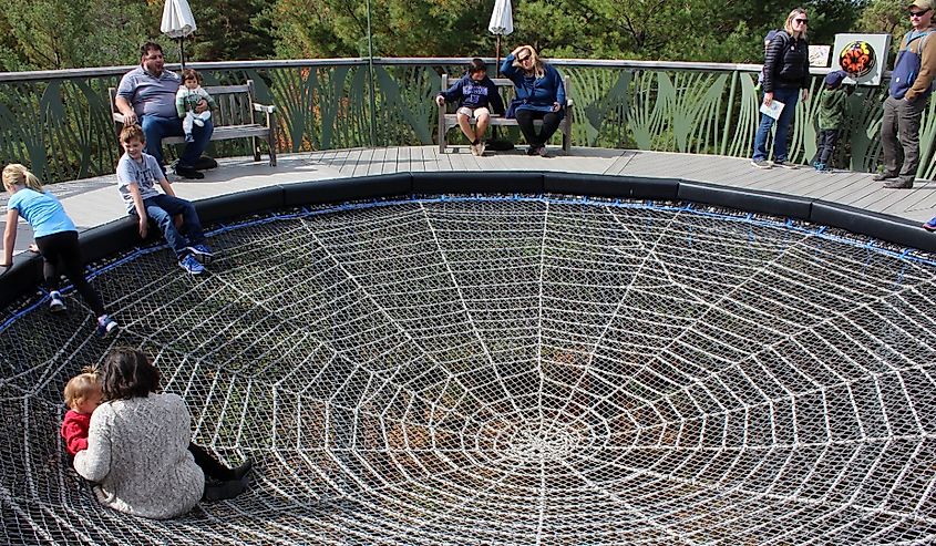 Families playing together in the spider web's center, a section of THE WILD WALK, Tupper Lake, New York 