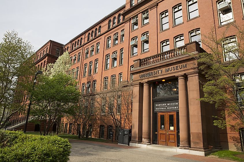 Entrance to the Harvard Museum of Natural History in Cambridge, MA, USA. Editorial credit: Papa Bravo / Shutterstock.com