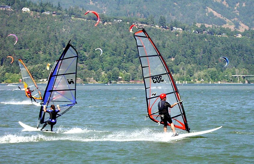 Windsurfers in the Columbia River at Hood River, Oregon.