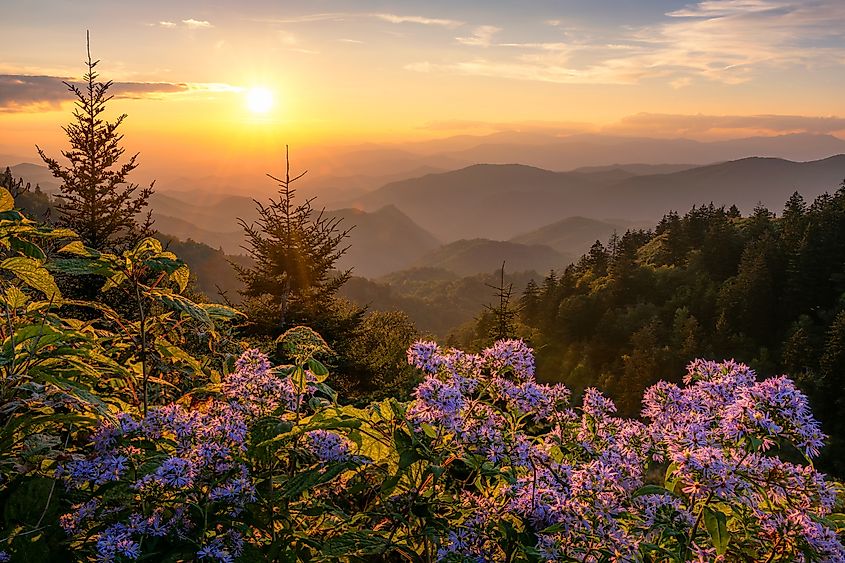 Great Smoky Mountains of North Carolina