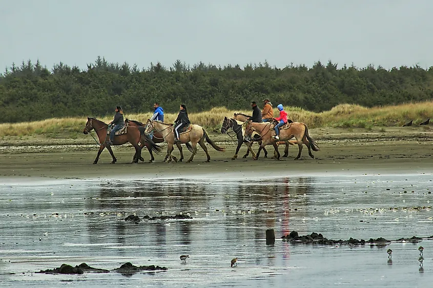 Horseback riders along the beach in Ocean Shores, Washington. Image credit: Amanda Wayne / Shutterstock.com.