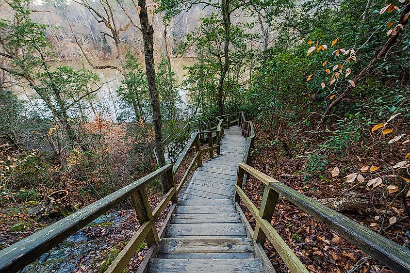 A scenic trail path in Raven Rock State Park, North Carolina, winding through a dense forest with a sturdy wooden handrail lining the way.