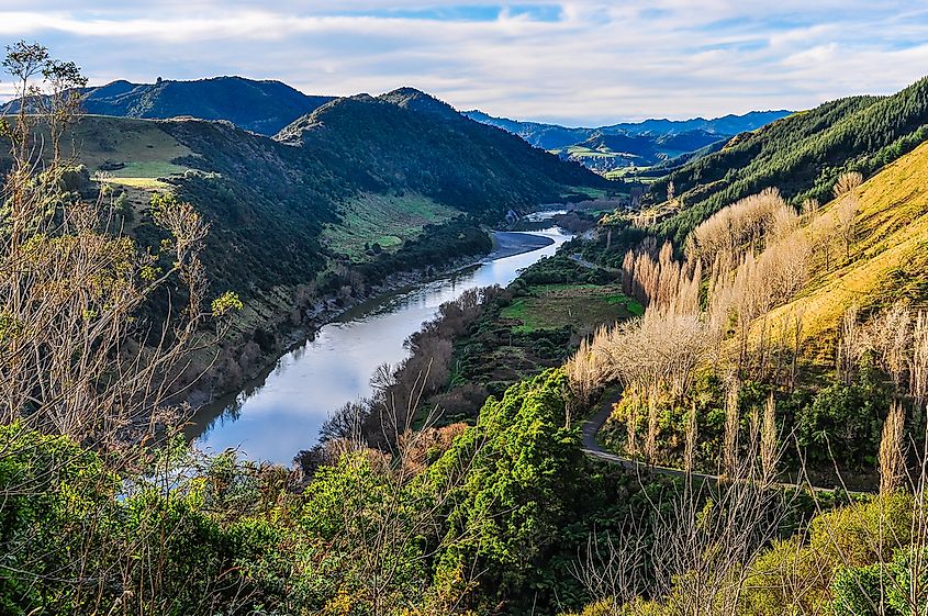 The Whanganui River, located on New Zealand's north island.