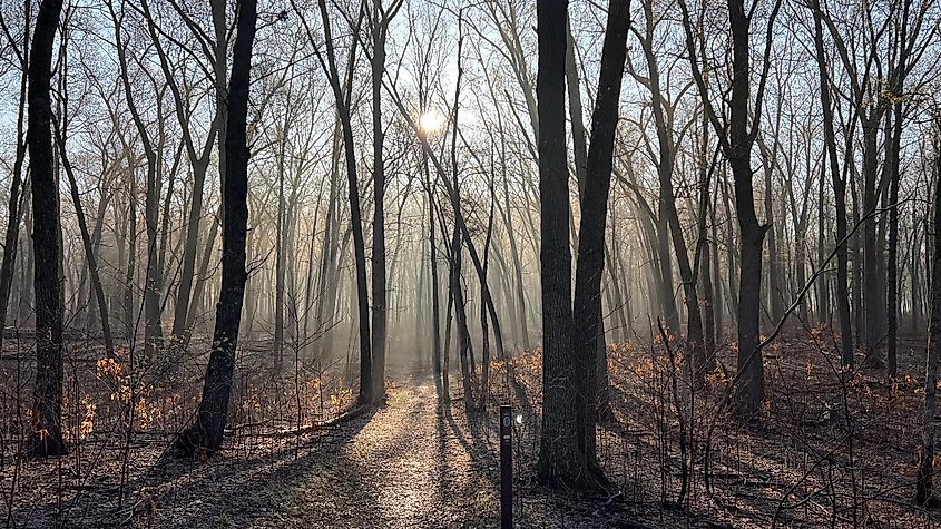 Oak Openings Preserve in Swanton, Ohio.