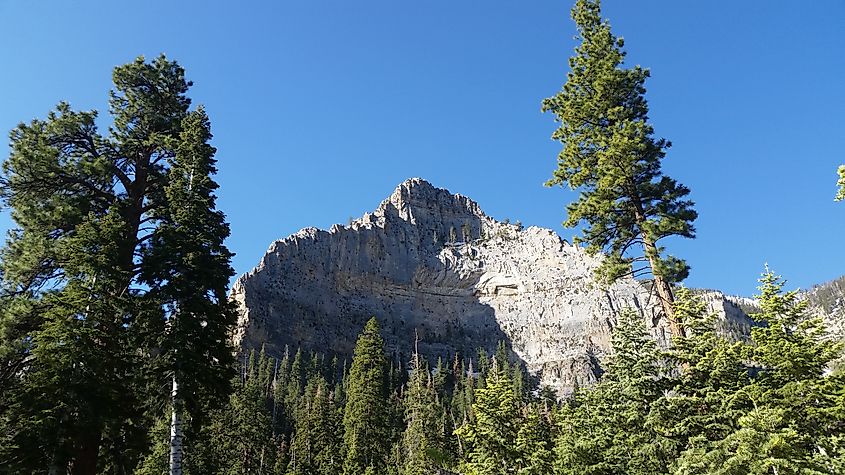 Mt Charleston, Nevada.