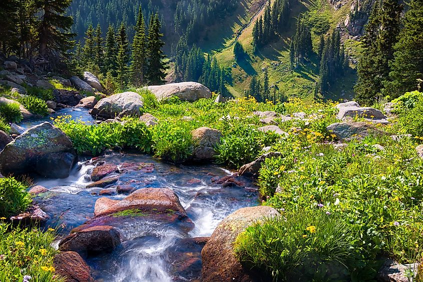 Boulder Creek near Boulder in Colorado.