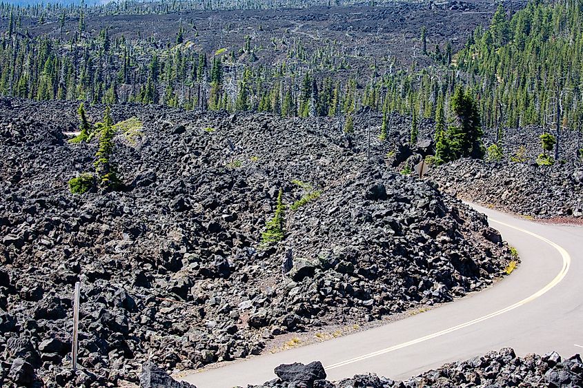 McKenzie Highway in McKenzie Pass Summit Oregon in summer