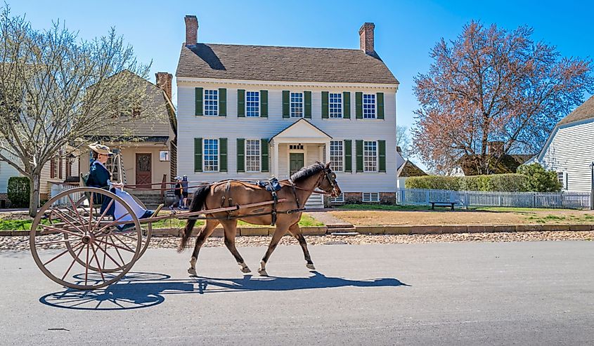 Woman riding on a horse and buggy in colonial Williamsburg