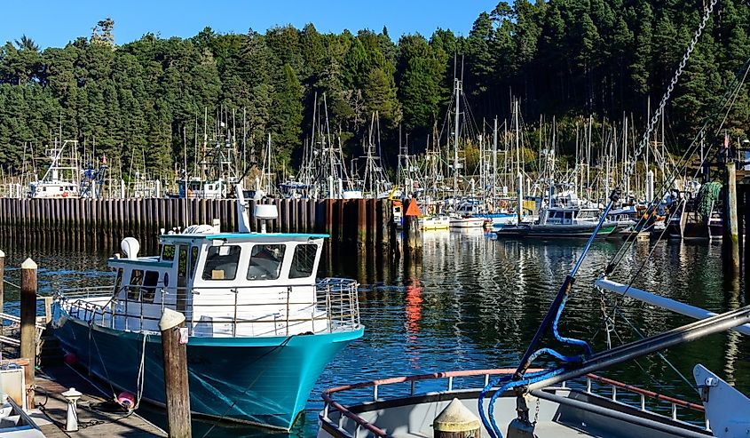 Noyo River Harbor, Fort Bragg, California.