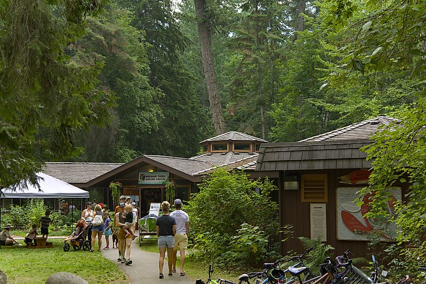 The Kokanee Creek Nature Center on a busy summer day.