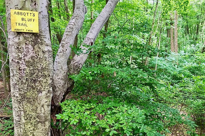 The Abbott's Bluff Trail near Borderntown, New Jersey