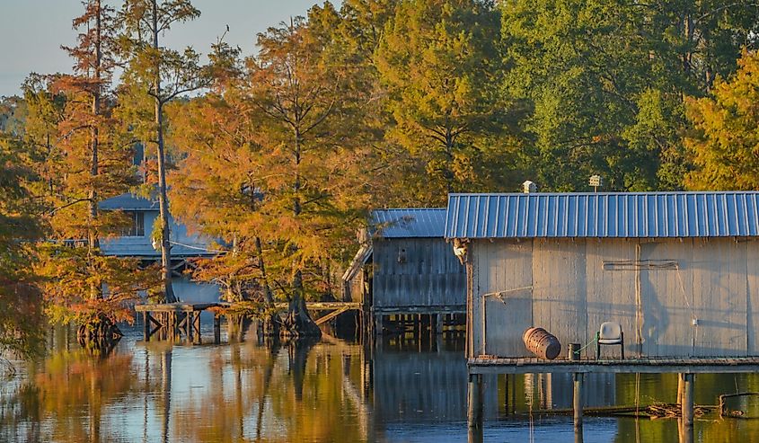 A Boat House among Bald Cypress Trees along the shoreline of Lake D''Arbonne, in Farmerville, Union Parish, Louisiana