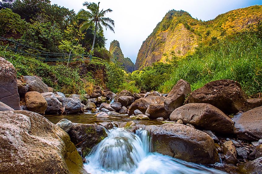 Mountain stream running through the Iao Valley State Park.