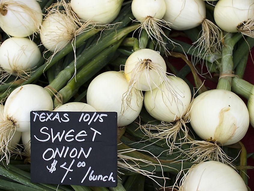 Texas-special 1015 onions.