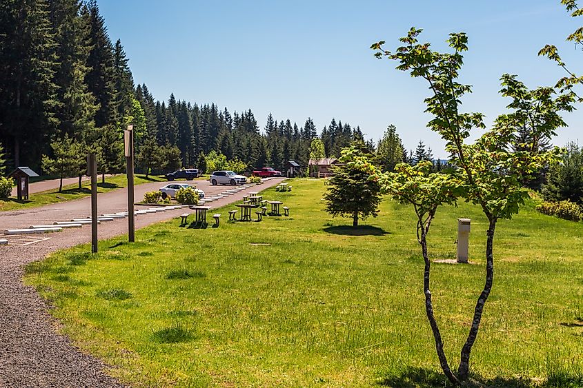 Parking area at L.L. Stub Stewart State Park in Oregon, surrounded by dense trees and greenery