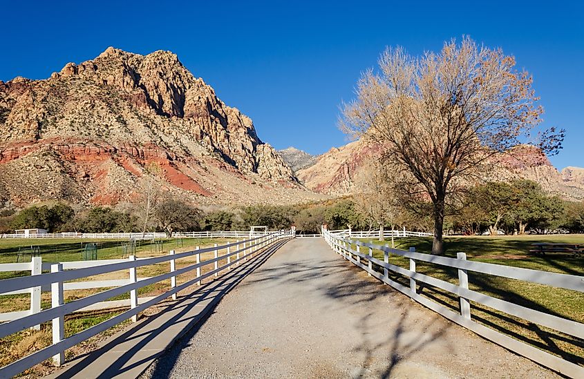 Spring Mountain Ranch State Park in Nevada.