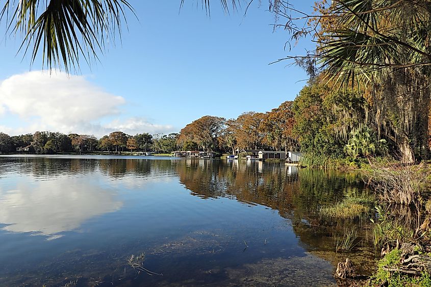 Peaceful Lake Virginia, in Winter Park, Florida