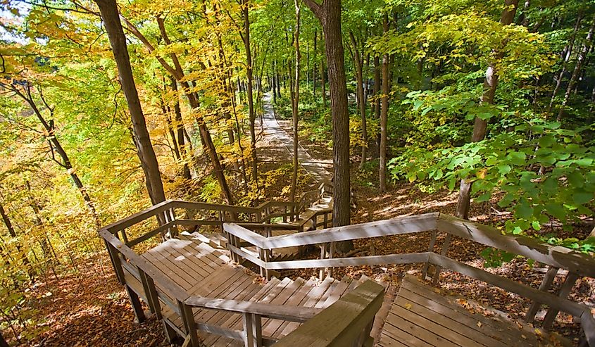 Interior of Mono Cliffs Provincial Park in autumn.