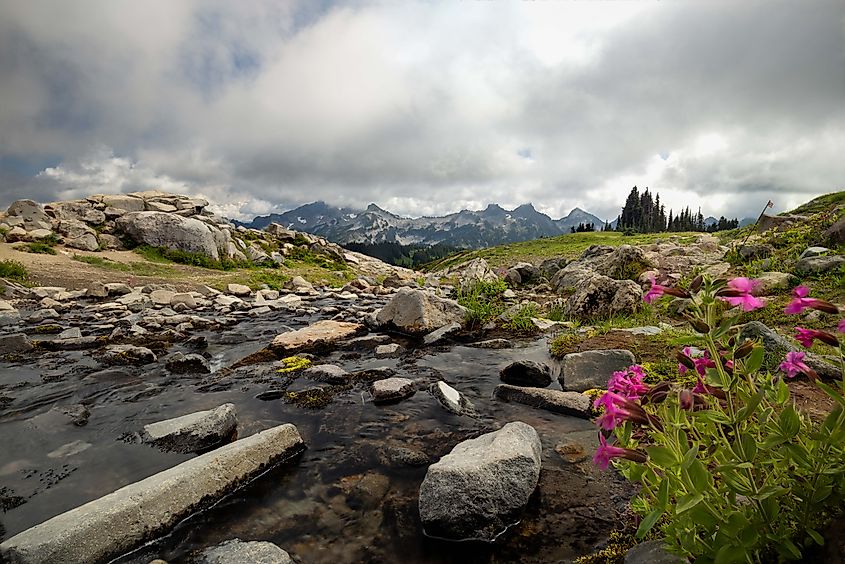 Looking southward at nearby Pinnacle Peak from a stream crossing on Mount Rainier's Skyline Loop.