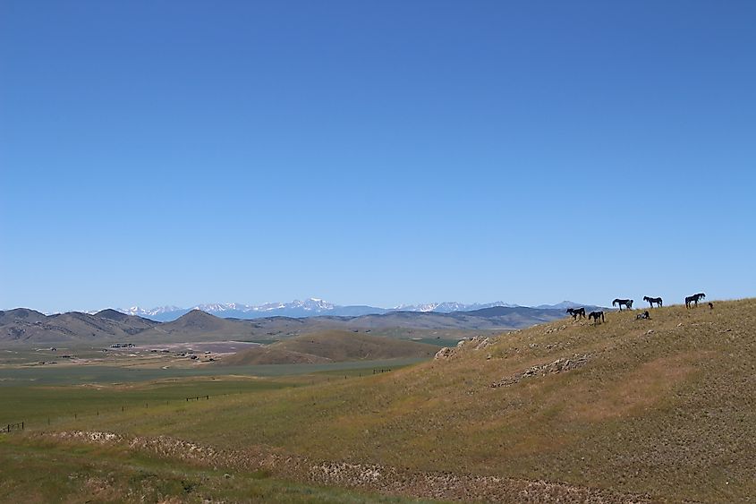 View of Bleu Horses in Montana.