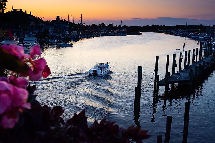 The harbor in Lewes, Delaware.