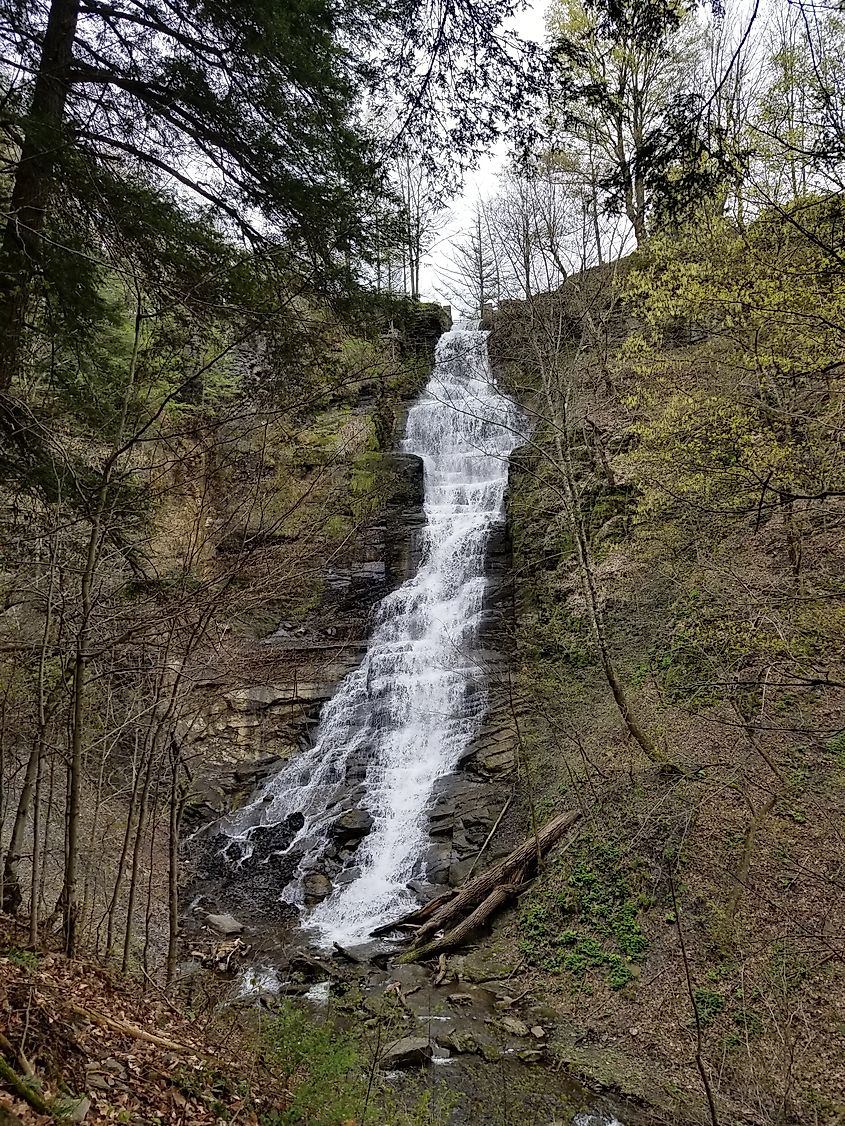 Pratt Falls in early May.